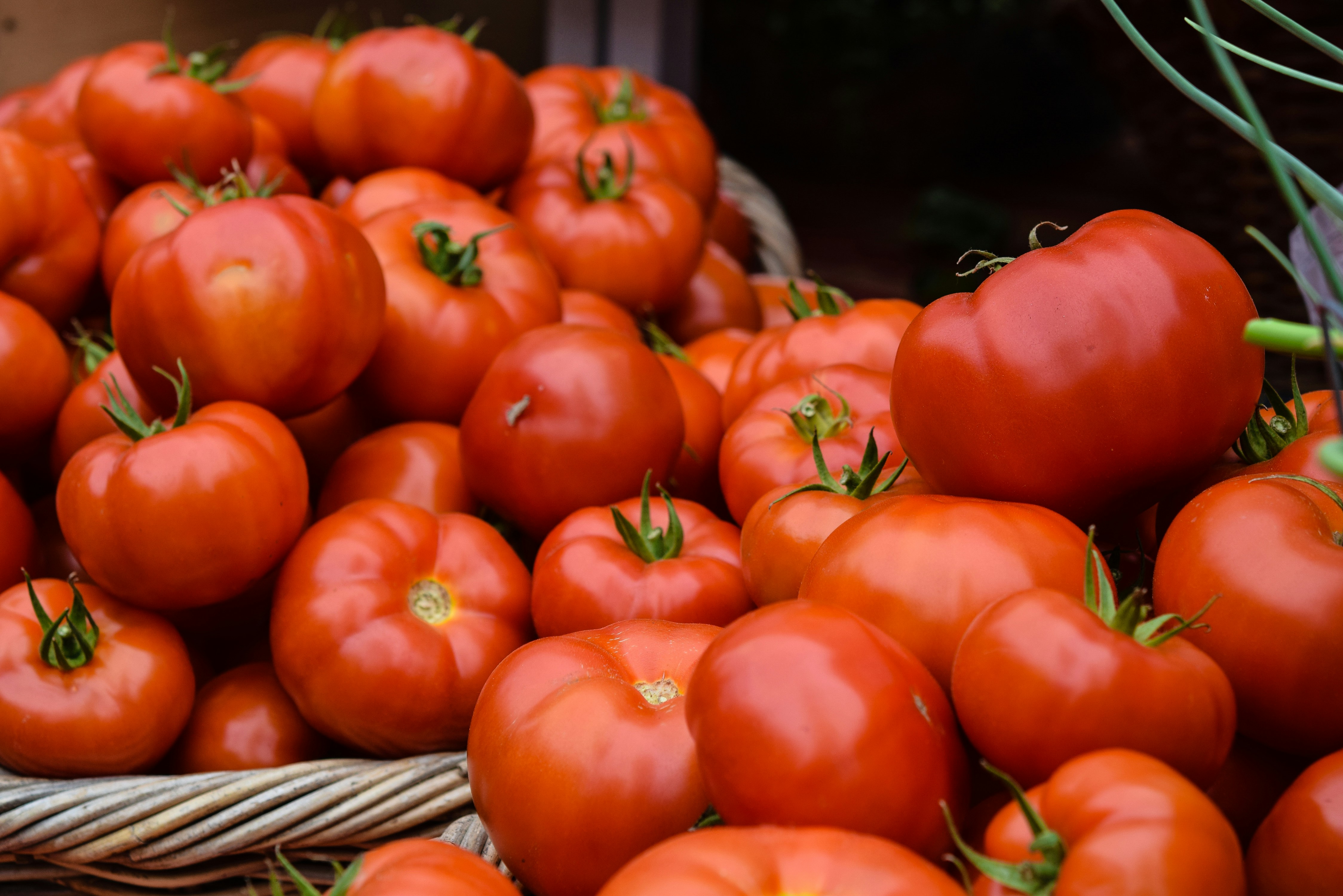 Tomaten